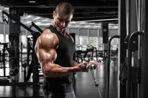 Lire la suite à propos de l’article Exercice Biceps : Guide Complet de Musculation